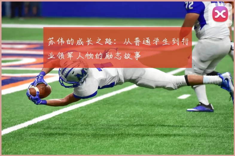 苏伟的成长之路：从普通学生到行业领军人物的励志故事