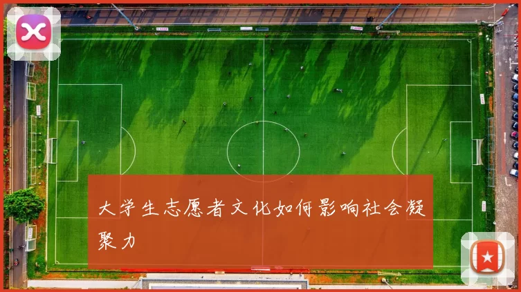 大学生志愿者文化如何影响社会凝聚力