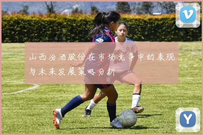 山西汾酒股份在市场竞争中的表现与未来发展策略分析