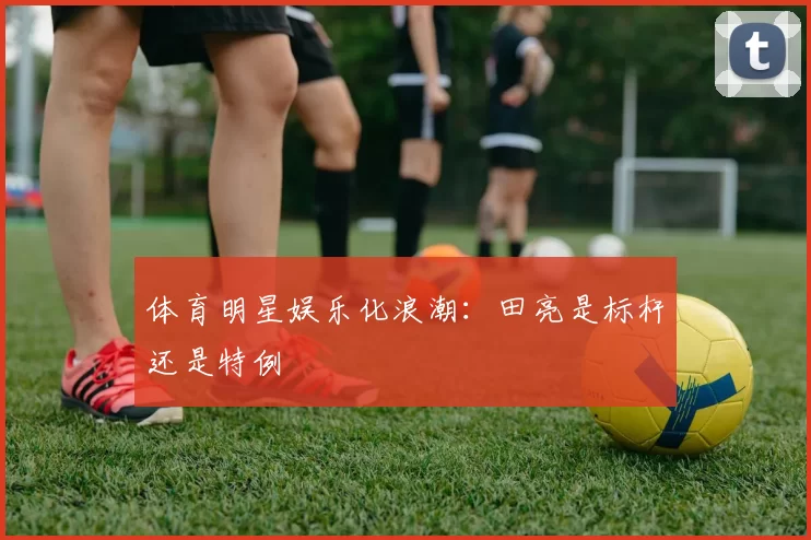 体育明星娱乐化浪潮：田亮是标杆还是特例
