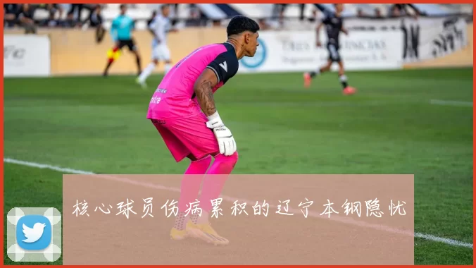 核心球员伤病累积的辽宁本钢隐忧
