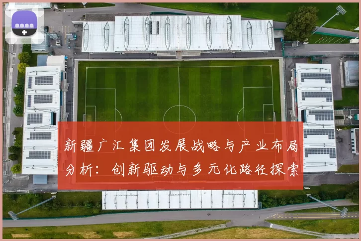 新疆广汇集团发展战略与产业布局分析：创新驱动与多元化路径探索